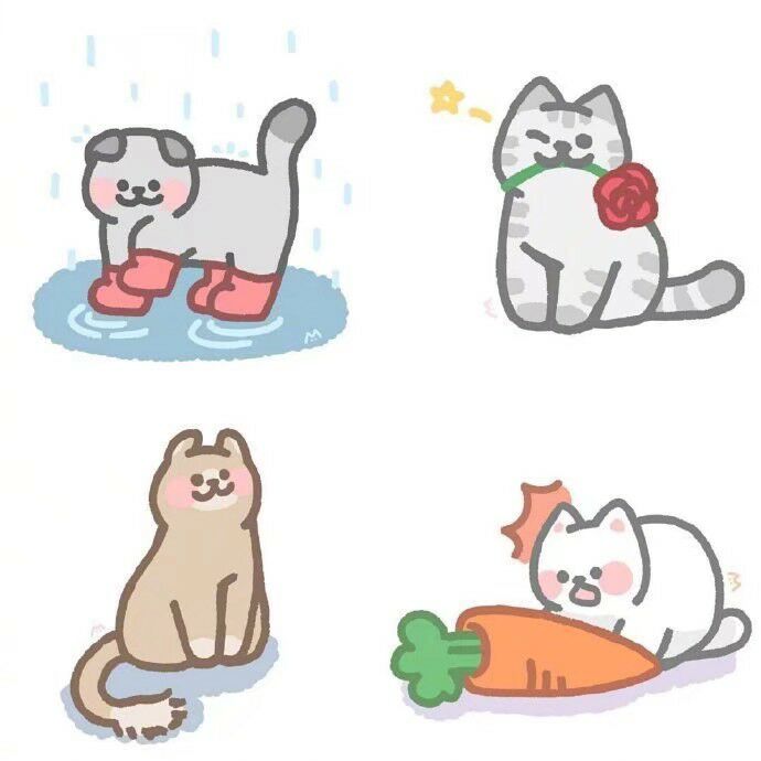 是猫咪呀ฅ۶•ﻌ•♡
侵权删