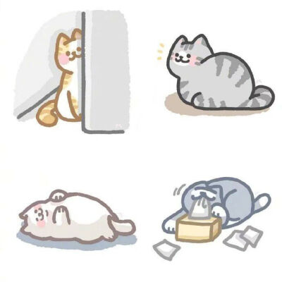 是猫咪呀ฅ۶•ﻌ•♡
侵权删