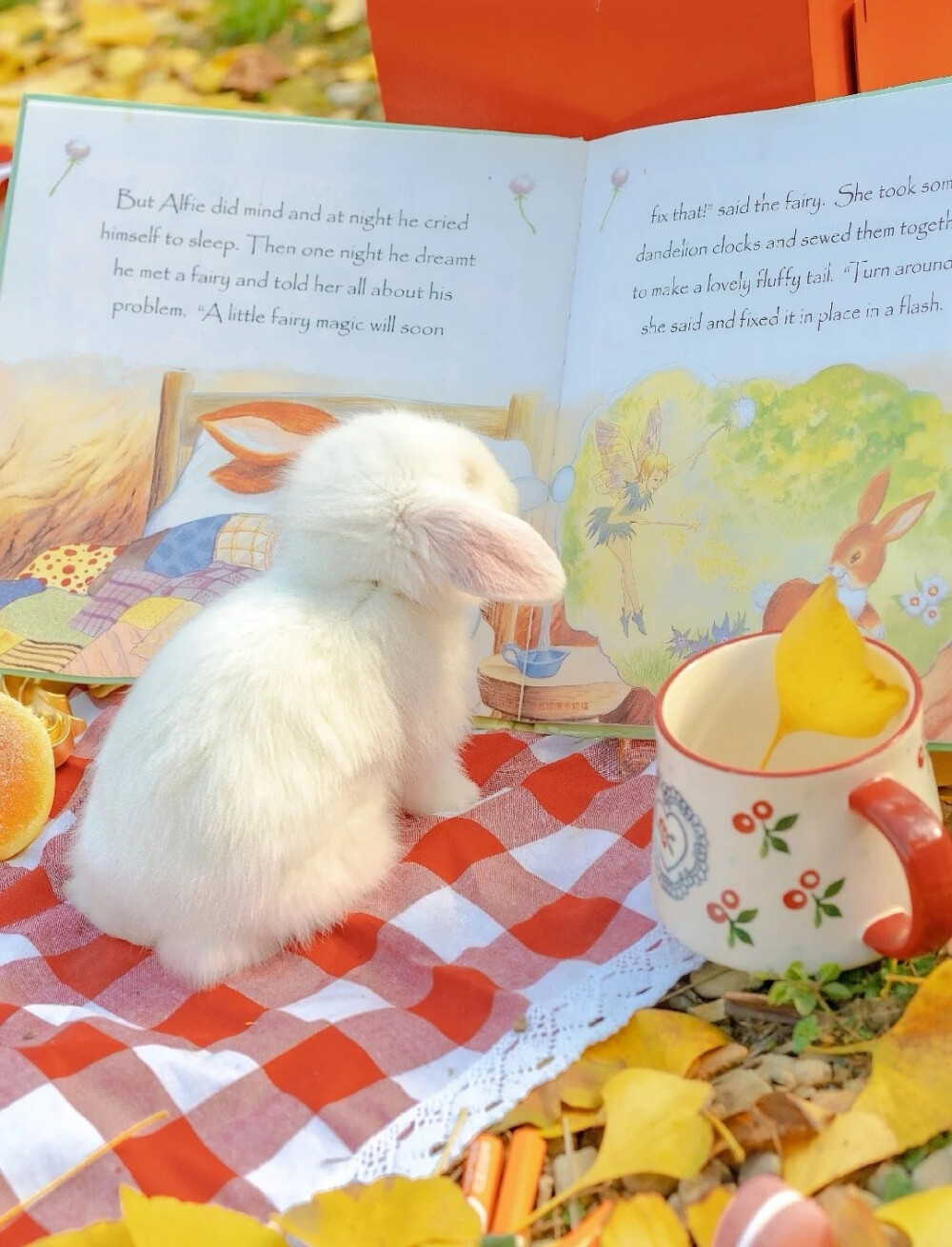 xhs：尼脑子瓦特啦