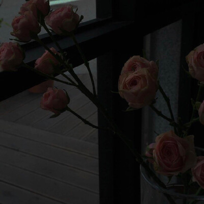 花
©微博 peach4U·