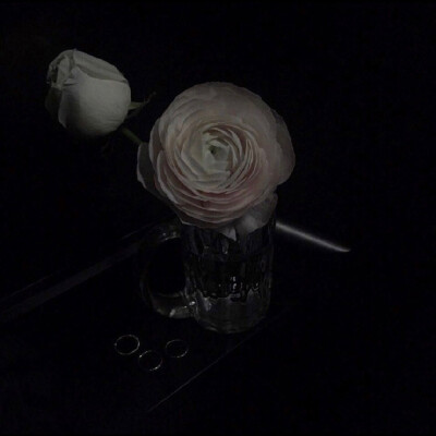 花
©微博 peach4U·