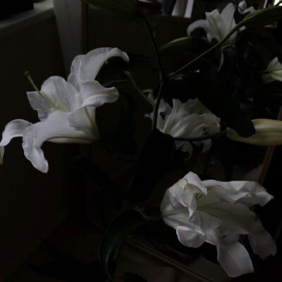 花
©微博 peach4U·