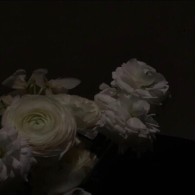 花
©微博 peach4U·