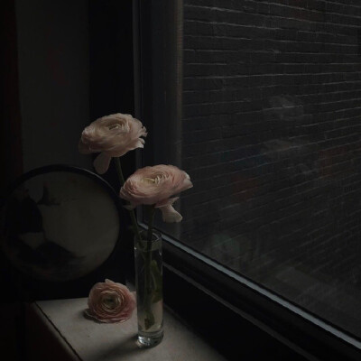 花
©微博 peach4U·