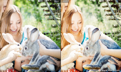 10个复古风格暖色调lr预设以具有现代简约风处理和编辑照片，为您的作品增加魅力，这个系列非常均衡，非常适合室内和室外摄影，婚纱摄影，城市，肖像，时尚，旅游摄影，订婚，风景，婚礼，建筑，食品摄影，生活方式以…