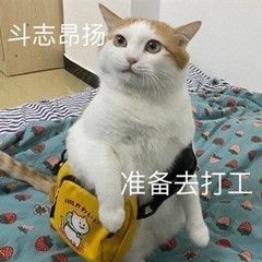 表情包