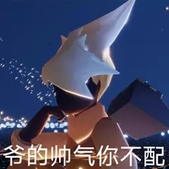 我跑图贼溜
光遇表情包@板栗