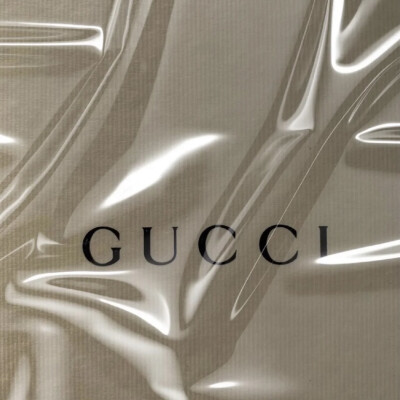 Chanel Gucci 