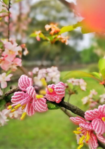 春天花会开
治愈系手编胸花