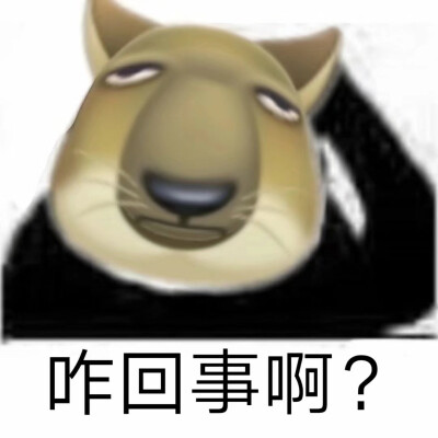 猹