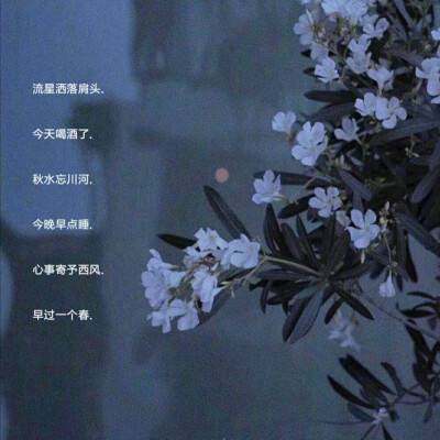 网名集/