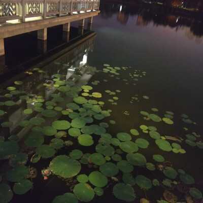 江景