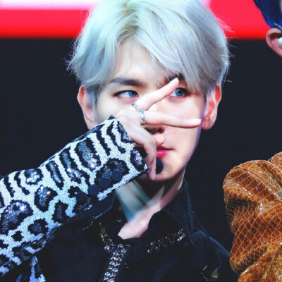 我会永远偏爱你