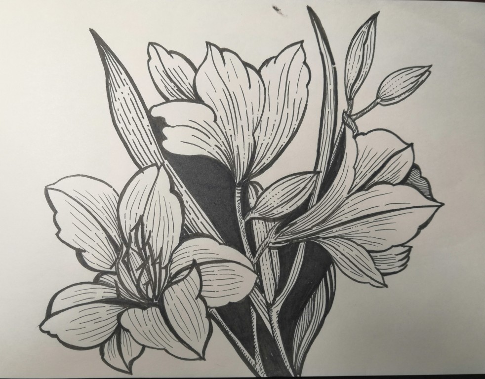 線描花卉