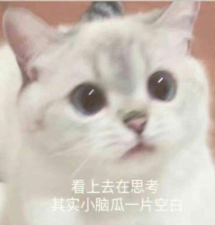 表情包