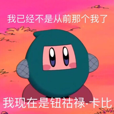 假期星之卡比表情包