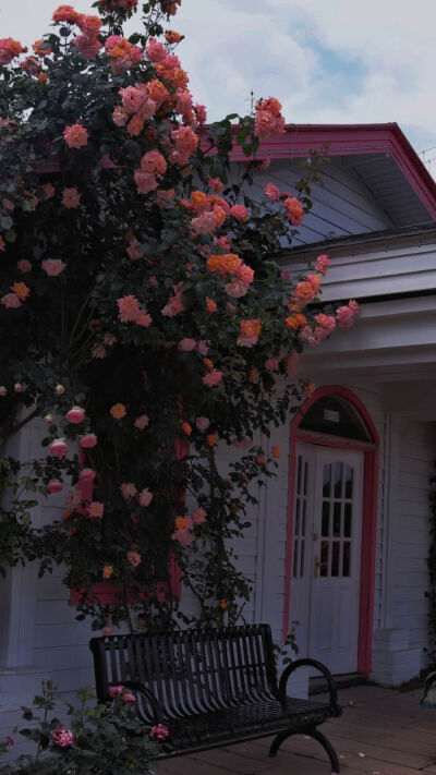 壁纸／聊天背景（图源网络）