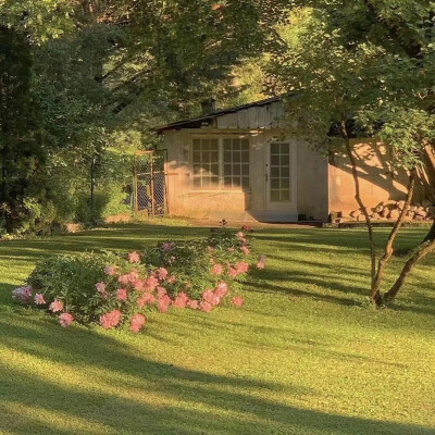 我的梦停留在夏天，凉风清澈，湖水明净，天是那样蓝，泡芙似的云在上面漂浮游荡.