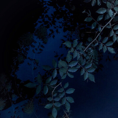 -
“我的眼睛看过世上肮脏的事物，领略了所有畸形人心，同样的，我也曾看过，站在暮光下的你。”
“因此星河里一切的美恶都在这了。”
“我的全部都在这了。”
