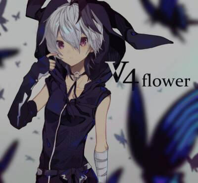 v flower 小花