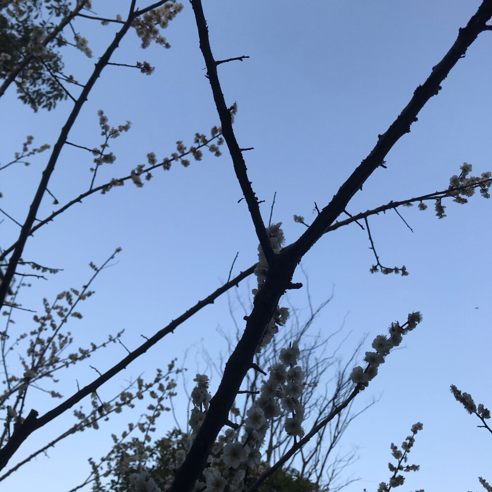 风景与日常