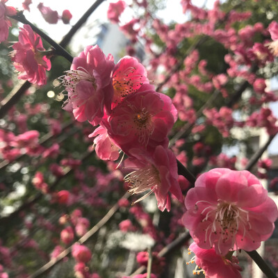 风景与日常