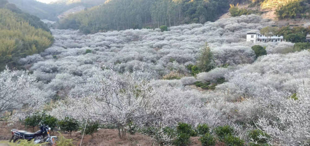 都是风景，幸会。