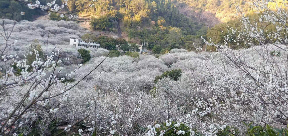 都是风景，幸会。