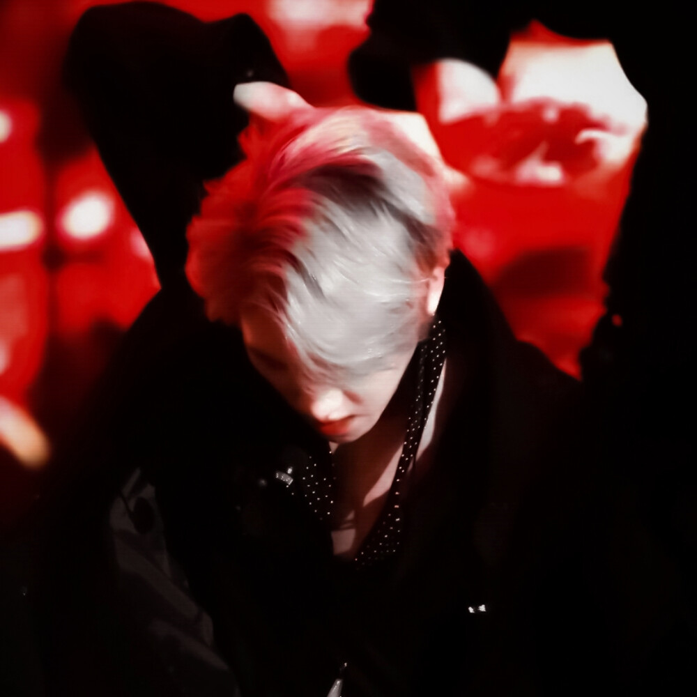 
如果过去重来，池林。
我们终将成为世界上最后一对不死鸟。