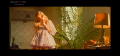 等了两年终于有了solo