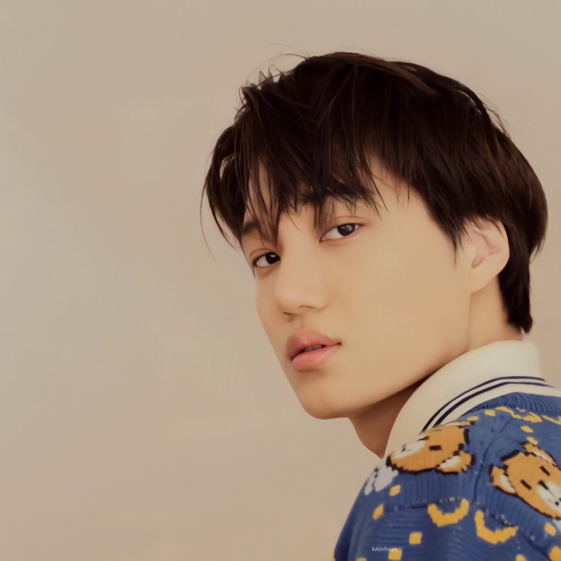 EXO 金钟仁 KAI