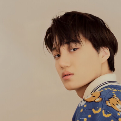 EXO 金钟仁 KAI
