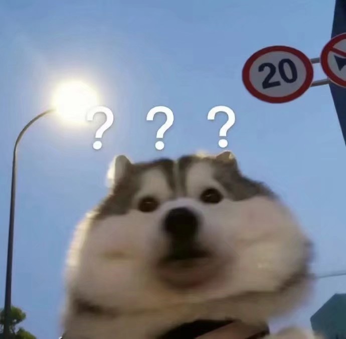 动物表情包