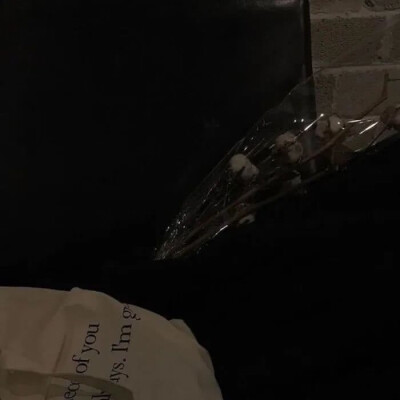 “ʸᵒᵘ ᵃʳᵉ ᵗʰᵉ ʳᵉᵃˢᵒⁿ ʷʰʸ ᴵ ʳᵉᶠᵘˢᵉ ᵒᵗʰᵉʳˢ .”
背景 壁纸