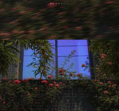 “ʸᵒᵘ ᵃʳᵉ ᵗʰᵉ ʳᵉᵃˢᵒⁿ ʷʰʸ ᴵ ʳᵉᶠᵘˢᵉ ᵒᵗʰᵉʳˢ .”
背景 壁纸