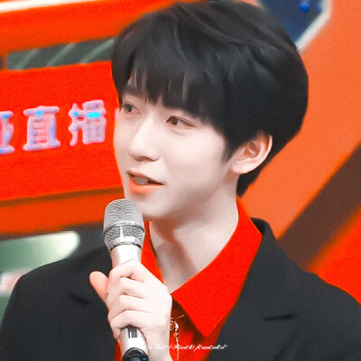 ◦ 严浩翔┊贺峻霖