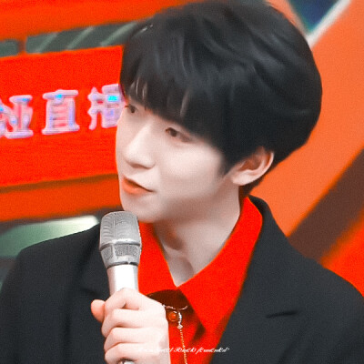 ◦ 严浩翔┊贺峻霖