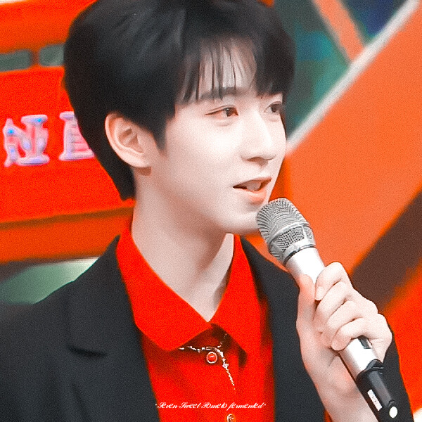 ◦ 严浩翔┊贺峻霖