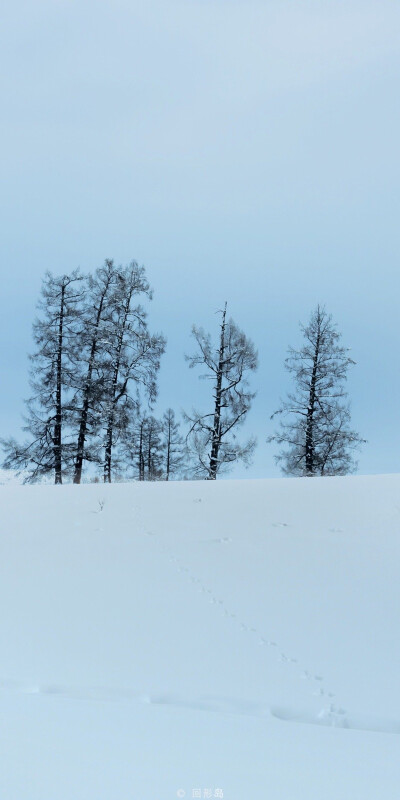 很喜欢冬天，更喜欢浪漫的下雪天❅
早安♡.
摄影师/回形岛
