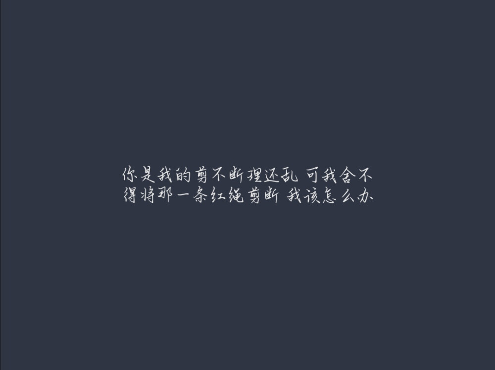 “那天早上的雾散了，不止早上，还有雾”