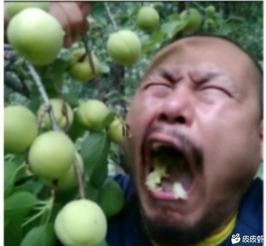 搞笑 头像