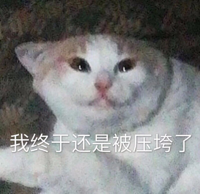 可爱