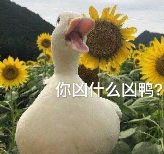 表情包