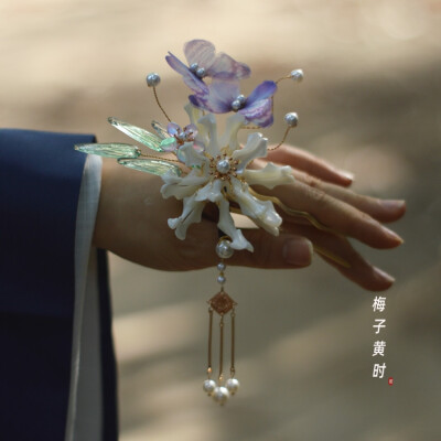 梅子黄时