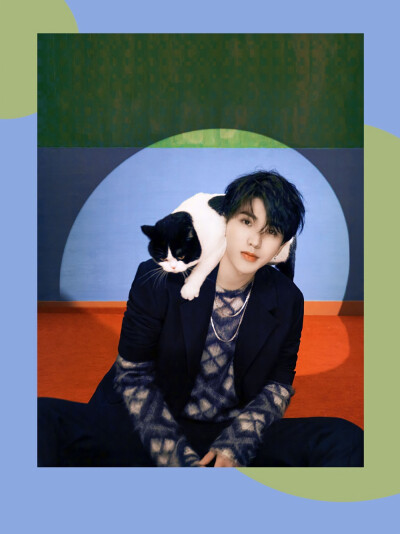 小猫咪