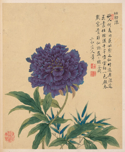 【邹一桂 清 《花卉八开》】
邹一桂（1686－1772）清代官员，画家。字原褒，号小山，晚号二知老人，江苏无锡人。雍正五年二甲第一名进士，授翰林院编修。历官云南道监察御史、贵州学政、太常寺少卿、大理寺卿、礼部…