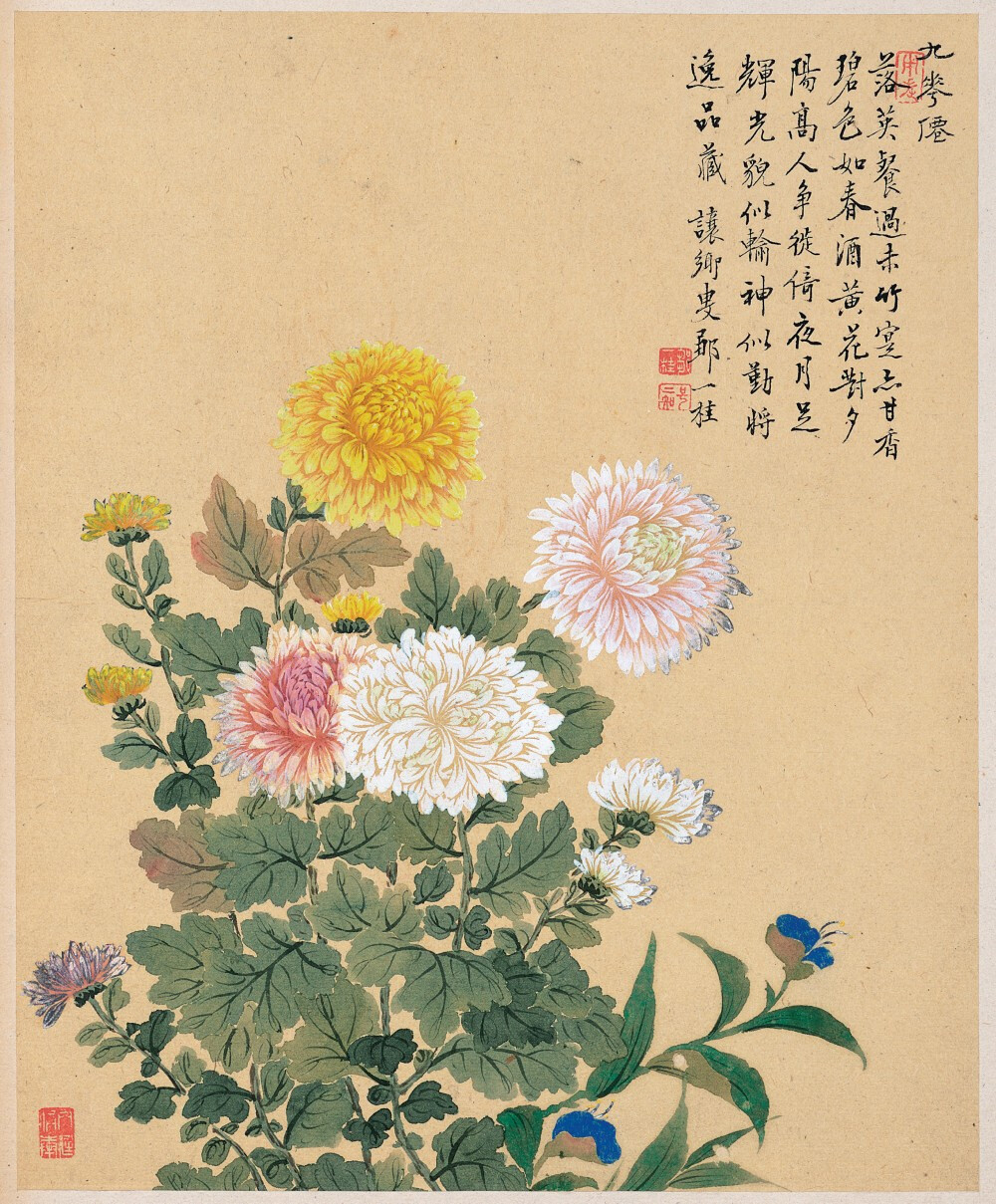 【邹一桂 清 《花卉八开》】
邹一桂（1686－1772）清代官员，画家。字原褒，号小山，晚号二知老人，江苏无锡人。雍正五年二甲第一名进士，授翰林院编修。历官云南道监察御史、贵州学政、太常寺少卿、大理寺卿、礼部侍郎，官至内阁学士。擅画花卉，学岳父恽寿平画法，风格清秀，除了天赋异禀他还有一个画画很厉害的爸爸。 ​
#艺术研习社##这就是中国风##遇见艺术#