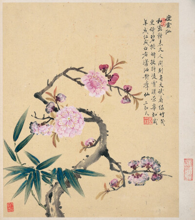 【邹一桂 清 《花卉八开》】
邹一桂（1686－1772）清代官员，画家。字原褒，号小山，晚号二知老人，江苏无锡人。雍正五年二甲第一名进士，授翰林院编修。历官云南道监察御史、贵州学政、太常寺少卿、大理寺卿、礼部…