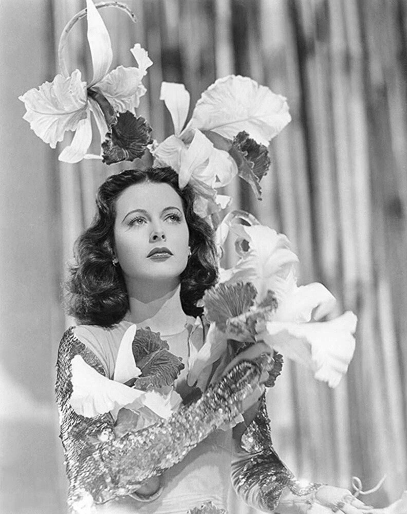 Hedy Lamarr(海蒂·拉玛)：《Ziegfield Girl(齐格菲女郎)》主角之一 Sandra Kolter 4