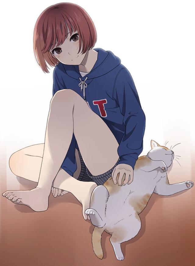 猫和少女